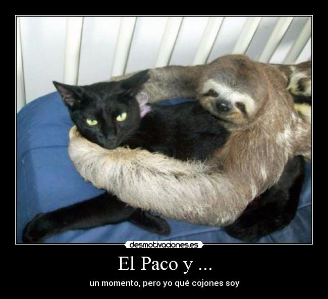 El Paco y ... -