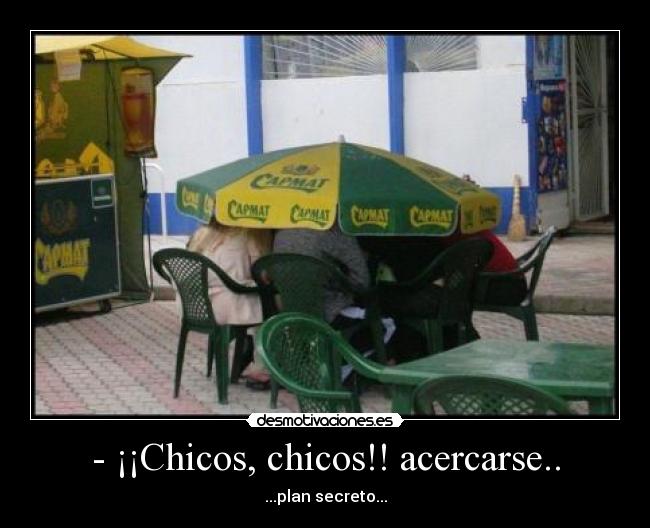 - ¡¡Chicos, chicos!! acercarse.. -