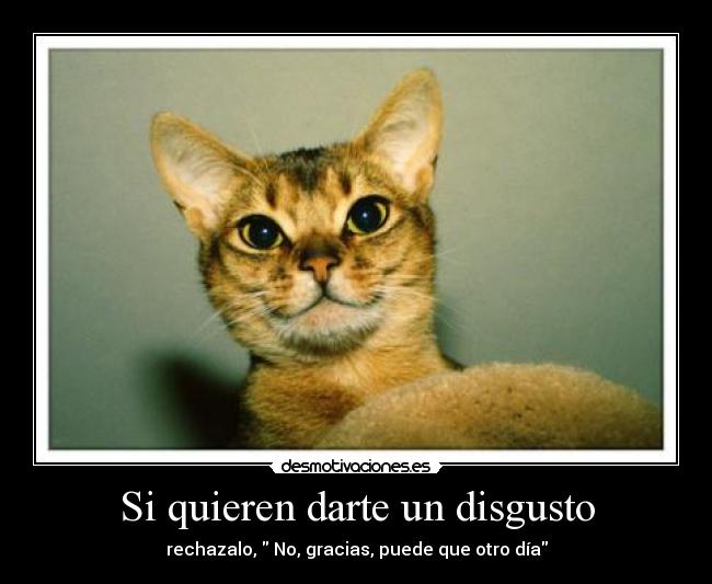 Si quieren darte un disgusto -