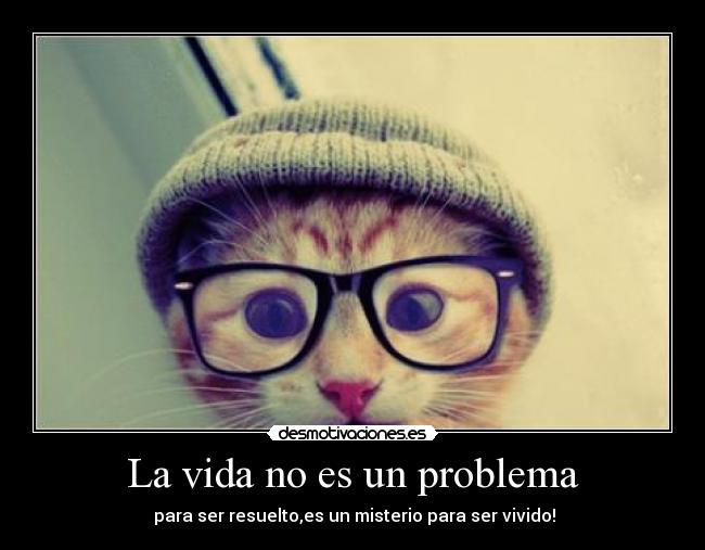 carteles vida vida problema desmotivaciones