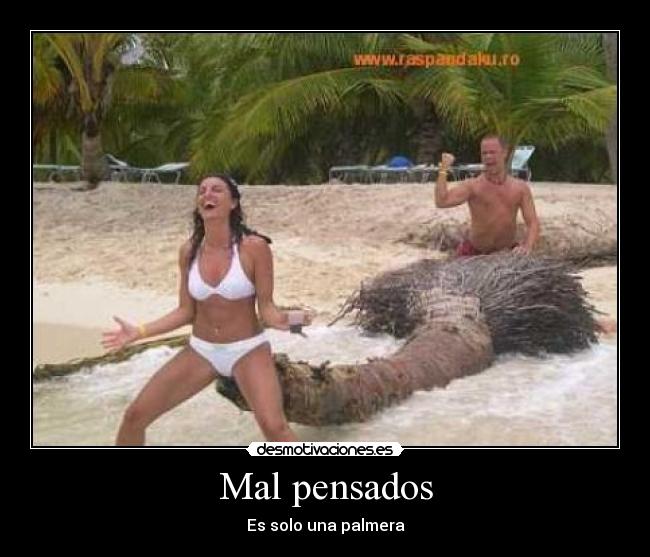 carteles palmera desmotivaciones