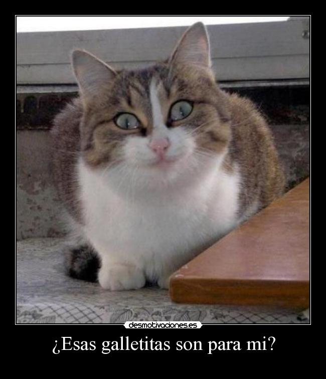 ¿Esas galletitas son para mi? - 