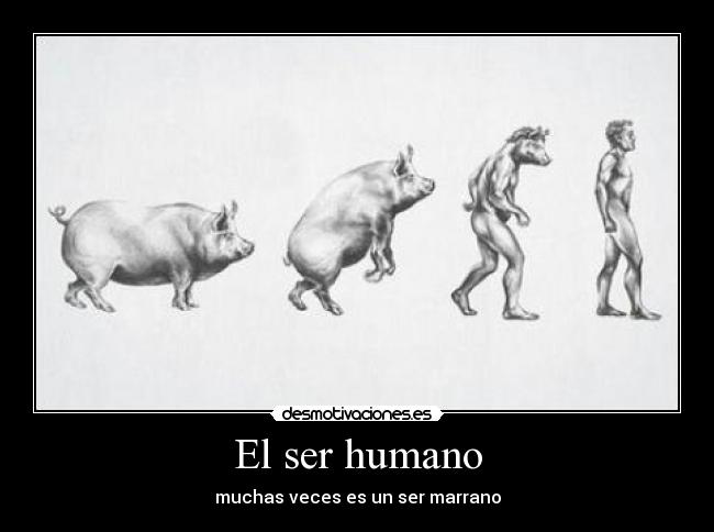 El ser humano -