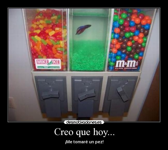 Creo que hoy... - ¡Me tomaré un pez!