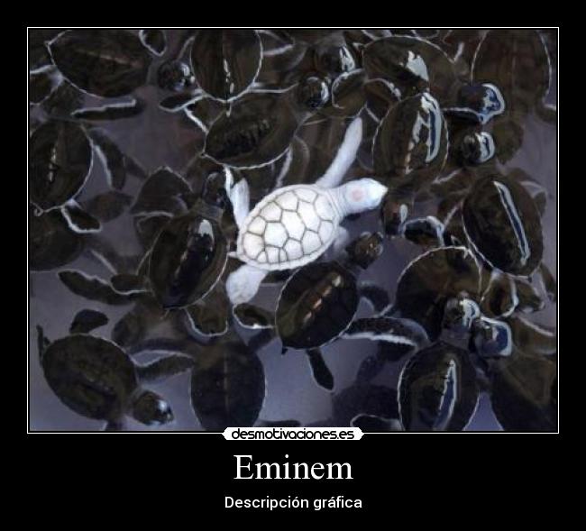 Eminem - Descripción gráfica