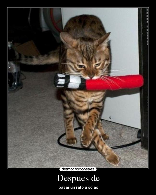 Despues de - pasar un rato a solas