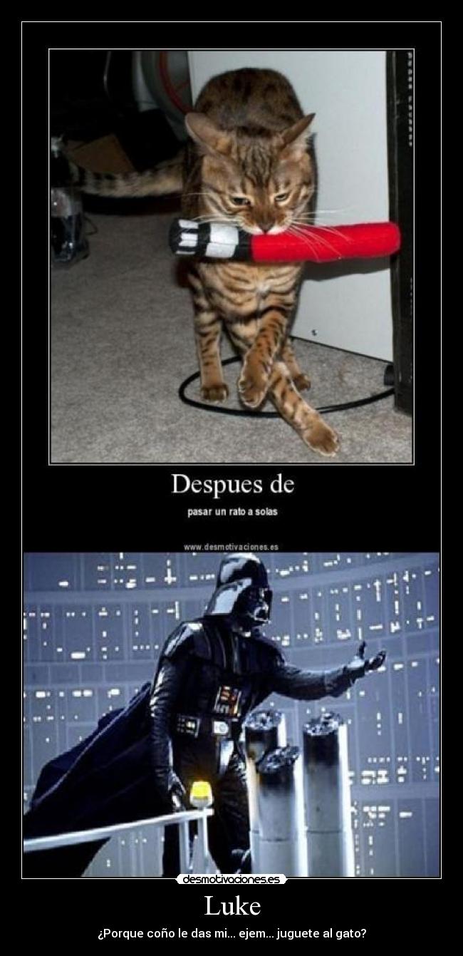 Luke - ¿Porque coño le das mi... ejem... juguete al gato?