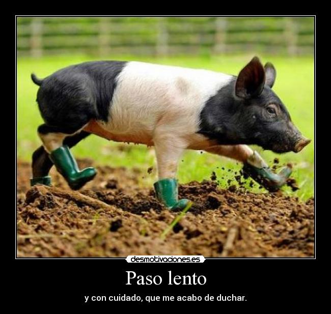 Paso lento - 
