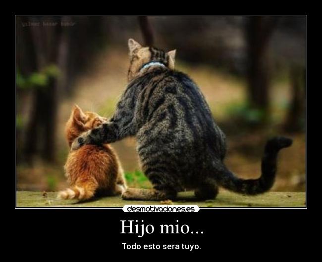 Hijo mio... - Todo esto sera tuyo.