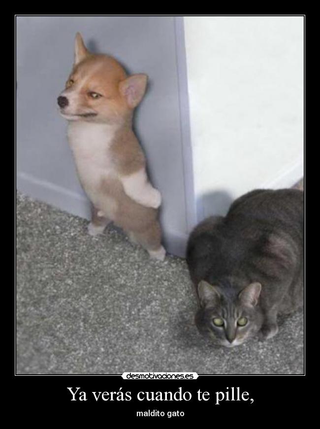 Ya verás cuando te pille, -
