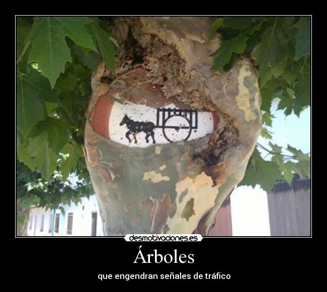 Árboles - que engendran señales de tráfico