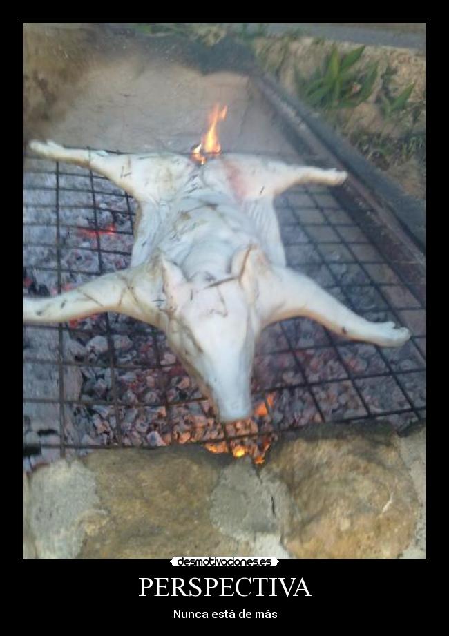 PERSPECTIVA - Nunca está de más