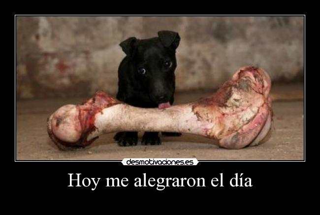 Hoy me alegraron el día - 