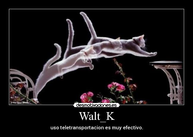 Walt_K -
