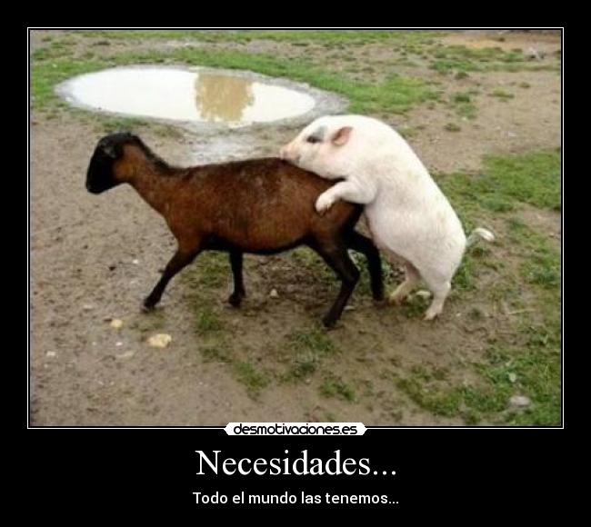 Necesidades... -