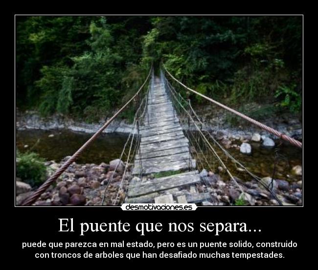 El puente que nos separa... - puede que parezca en mal estado, pero es un puente solido, construido
con troncos de arboles que han desafiado muchas tempestades.