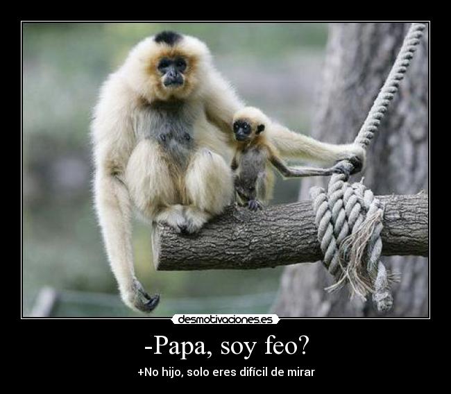 -Papa, soy feo? - 