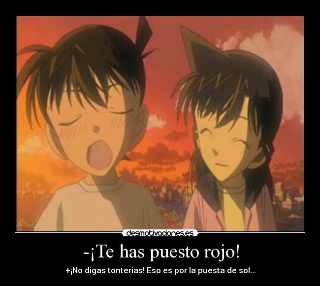 carteles detective conan desmotivaciones