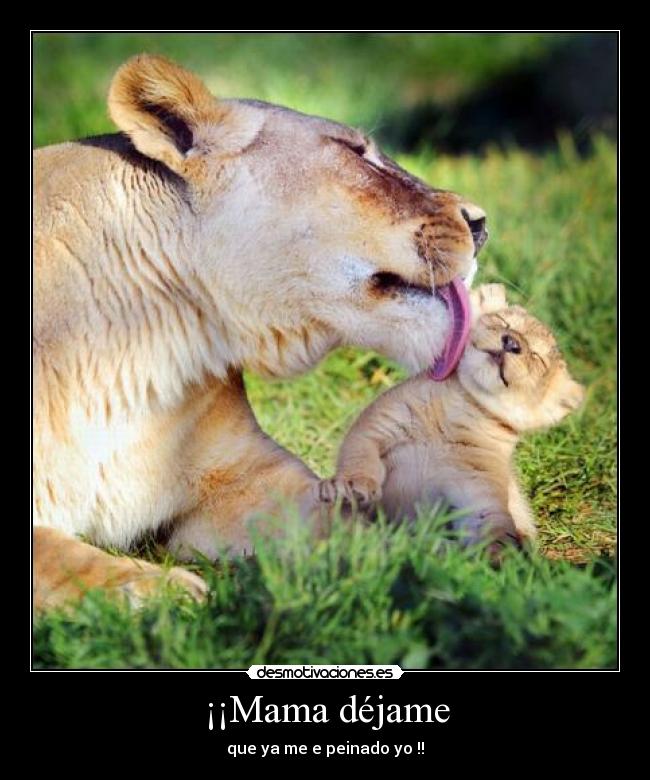 ¡¡Mama déjame -