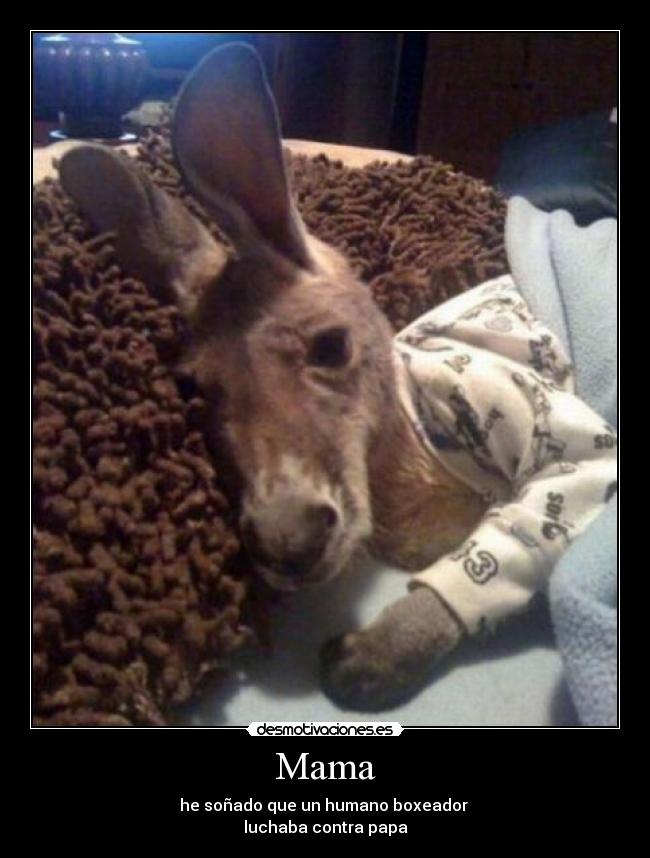 Mama - he soñado que un humano boxeador 
luchaba contra papa