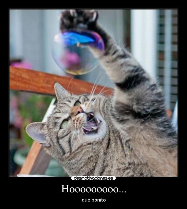 Hooooooooo... - que bonito