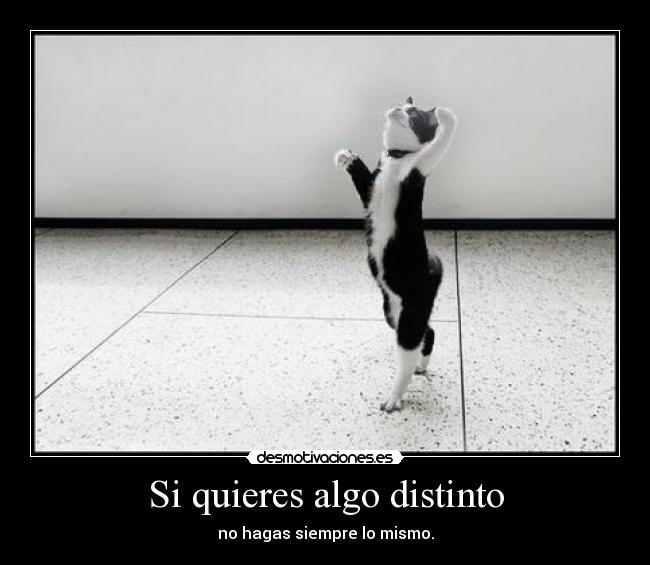 Si quieres algo distinto - 