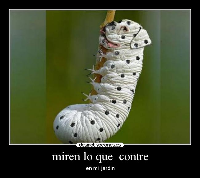 im-genes-y-carteles-de-ffhh-desmotivaciones