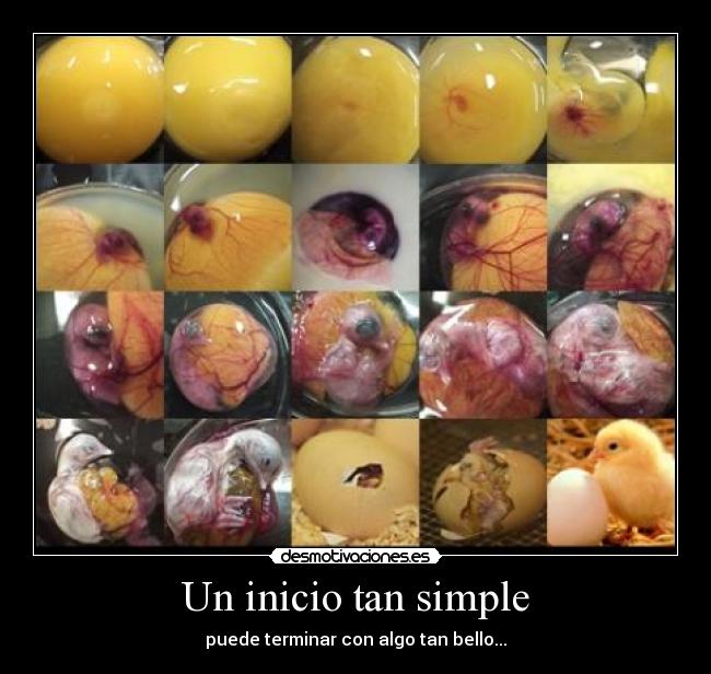 carteles inicio tan simple desmotivaciones