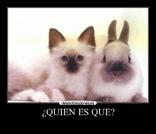 ¿QUIEN ES QUE? - 