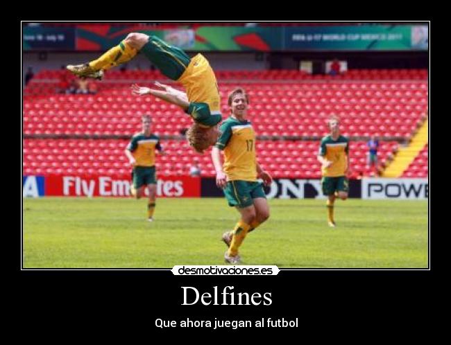 carteles delfines futbol soccer desmotivaciones