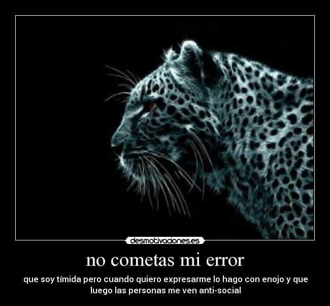 no cometas mi error - que soy tímida pero cuando quiero expresarme lo hago con enojo y que
luego las personas me ven anti-social