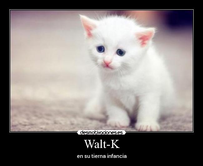 Walt-K -