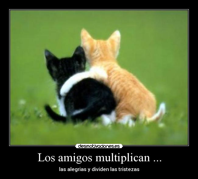 Los amigos multiplican ... - 