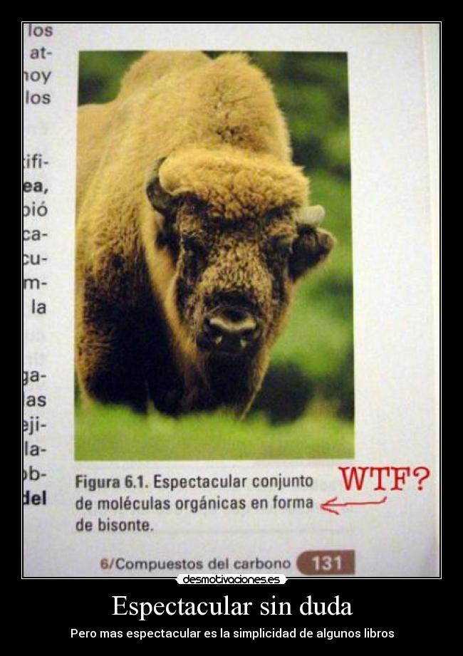 Espectacular sin duda - Pero mas espectacular es la simplicidad de algunos libros