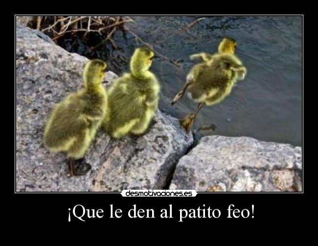 ¡Que le den al patito feo! - 