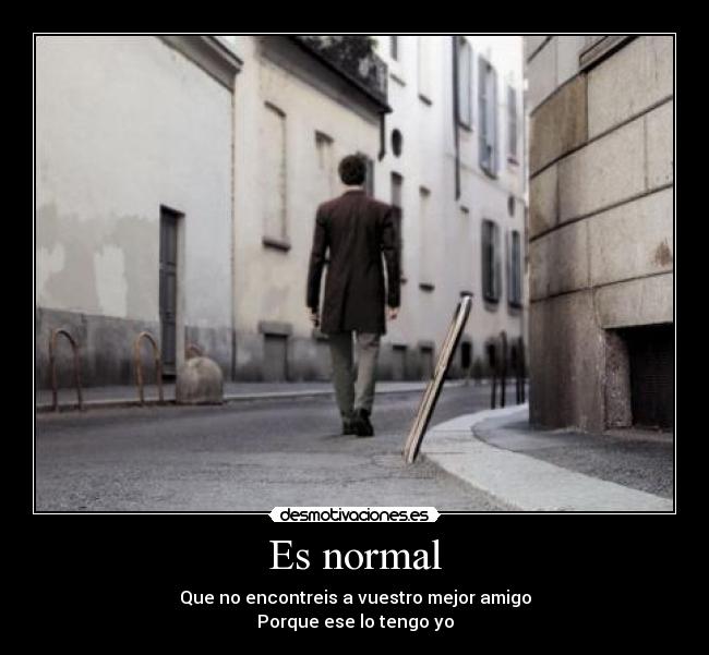 Es normal - Que no encontreis a vuestro mejor amigo
Porque ese lo tengo yo