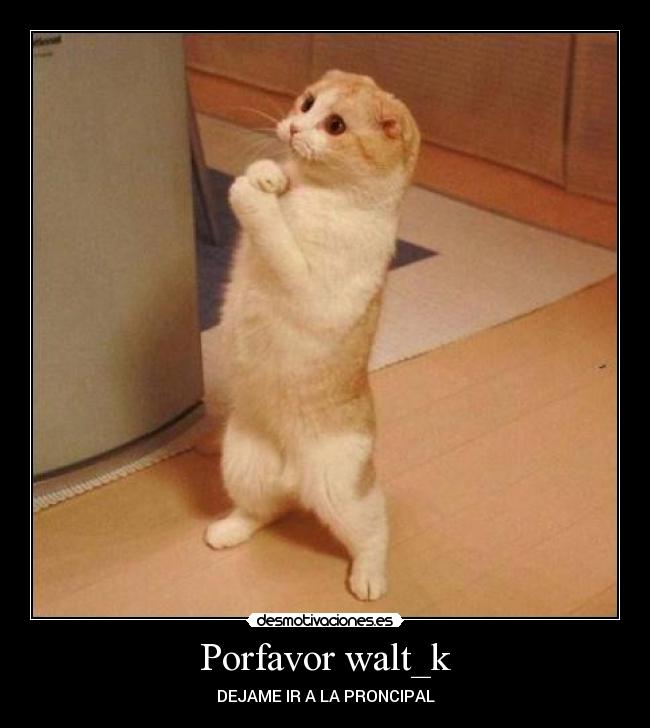 Porfavor walt_k -