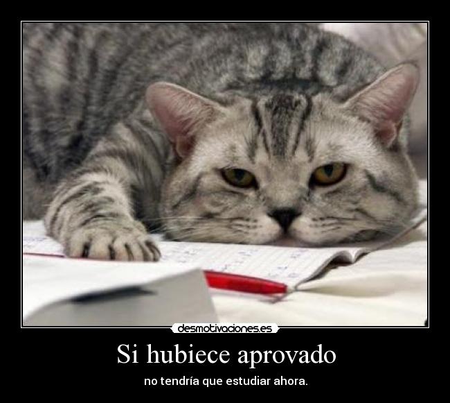 carteles vvc desmotivaciones