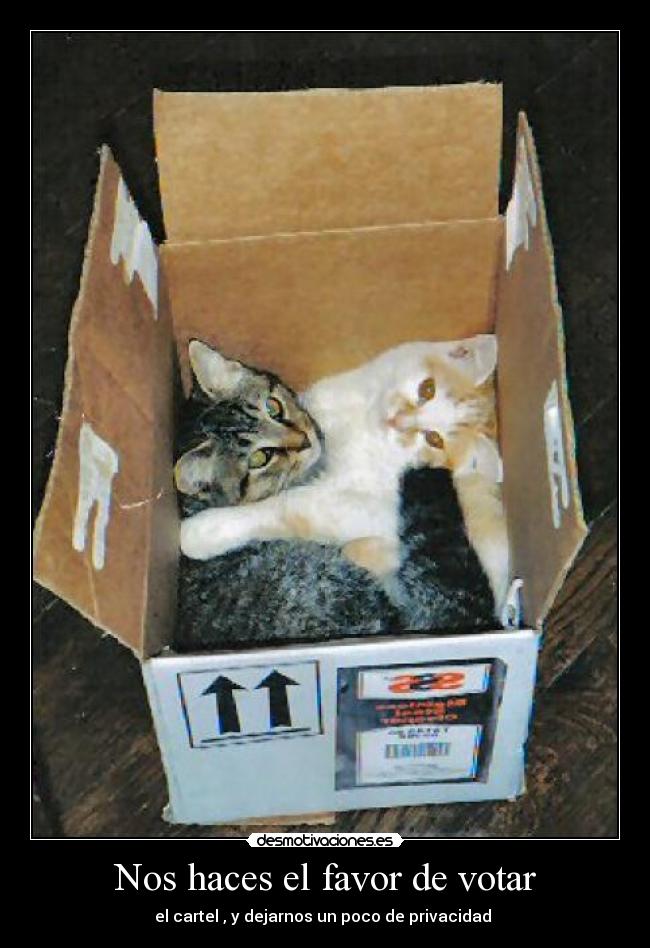 Nos haces el favor de votar - 
