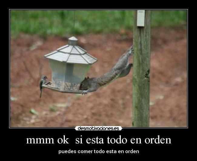 mmm ok si esta todo en orden - puedes comer todo esta en orden