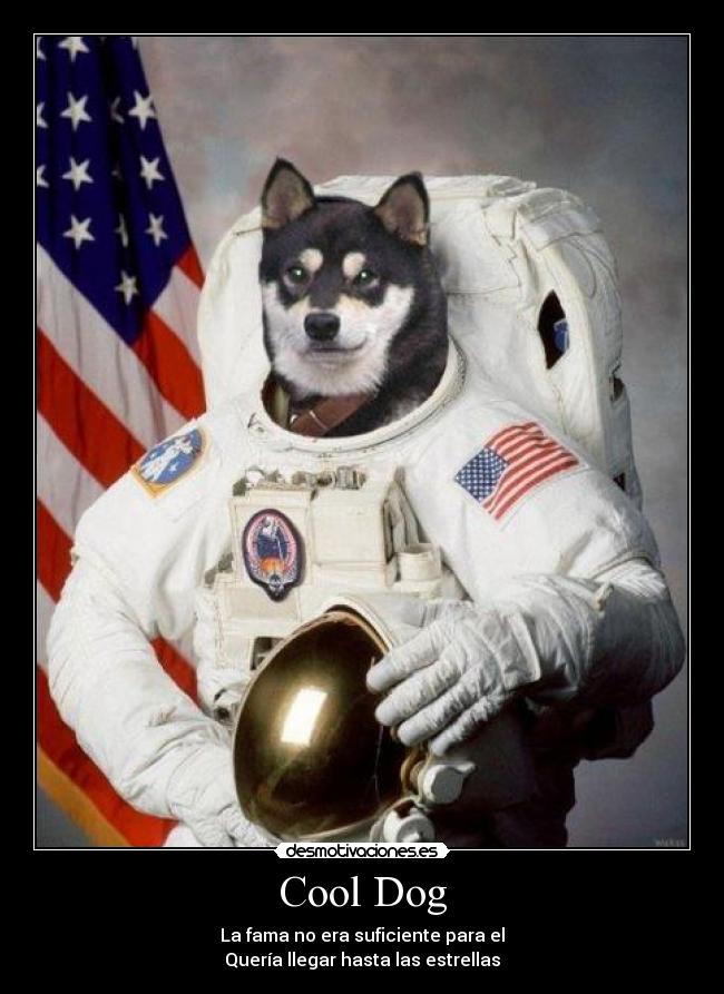 Cool Dog - La fama no era suficiente para el
Quería llegar hasta las estrellas