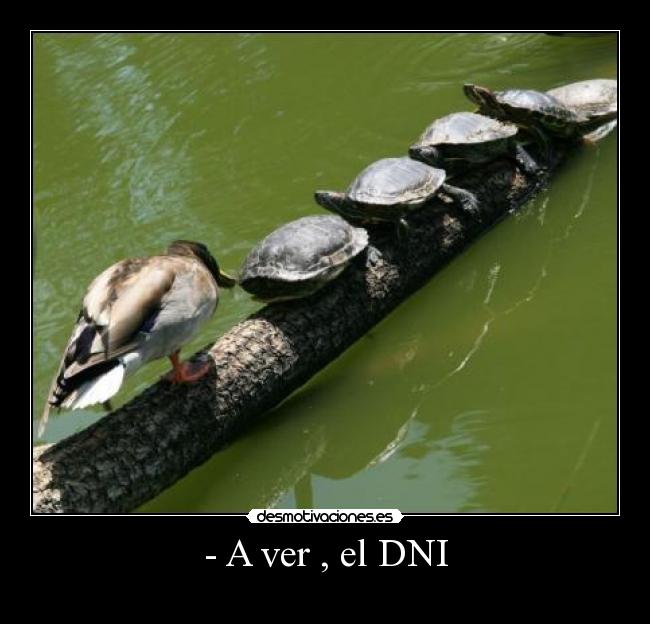 carteles dni por favor tortugas desmotivaciones