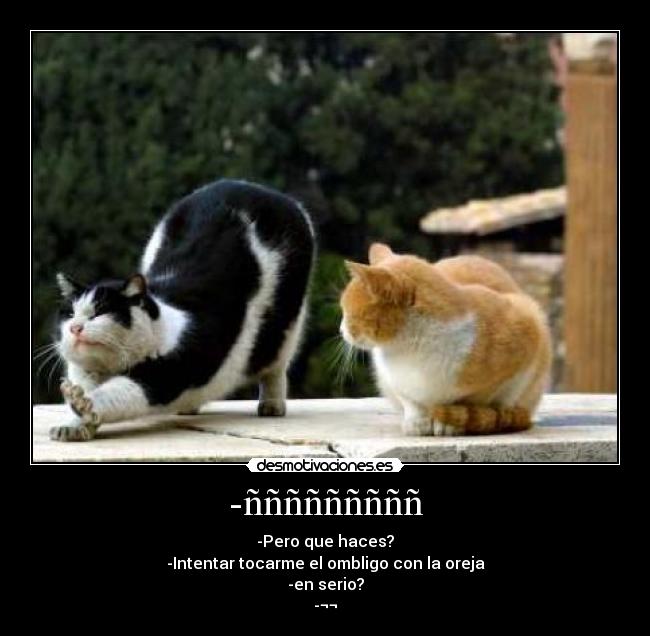 -ñññññññññ -