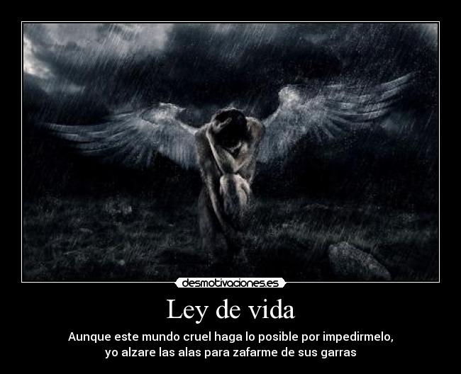 carteles vida ley vida desmotivaciones
