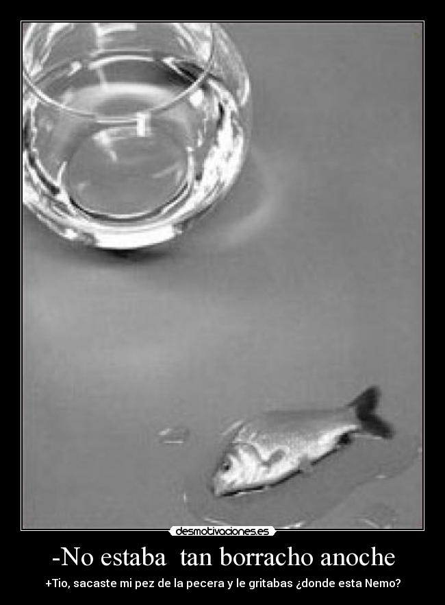 -No estaba tan borracho anoche -