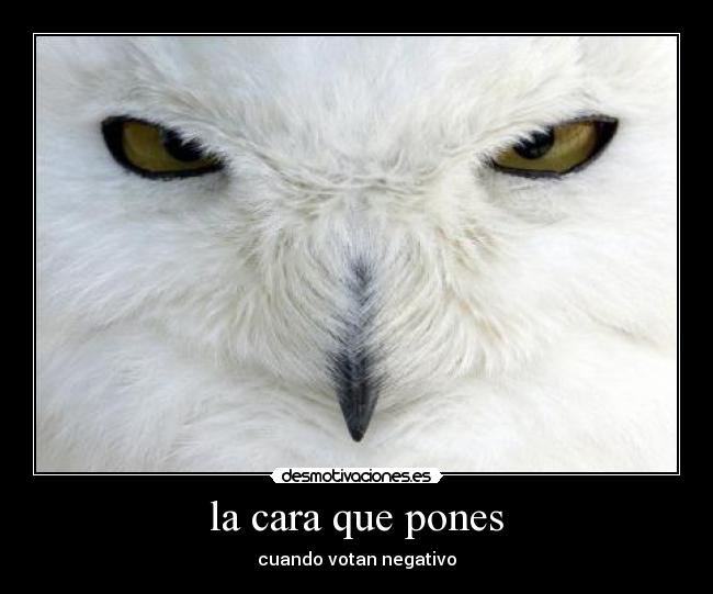 la cara que pones - 