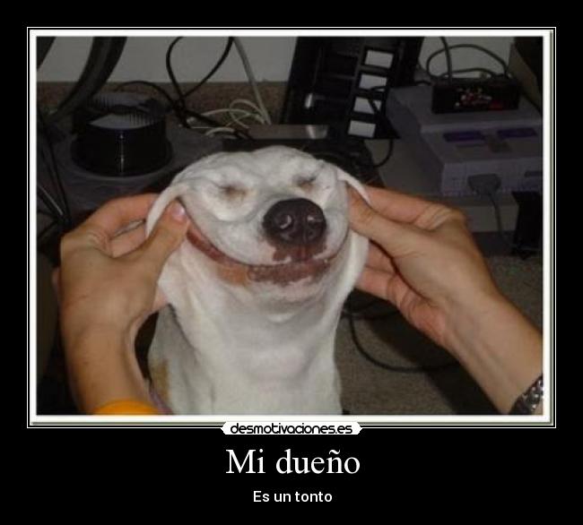 Mi dueño -