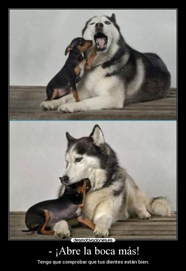 - ¡Abre la boca más! -