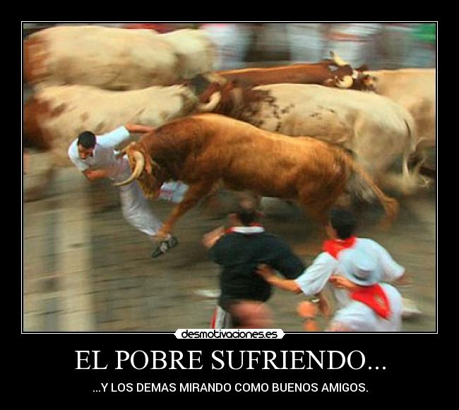 EL POBRE SUFRIENDO... - ...Y LOS DEMAS MIRANDO COMO BUENOS AMIGOS.