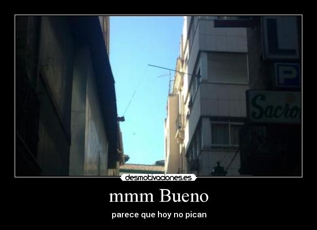 mmm Bueno -